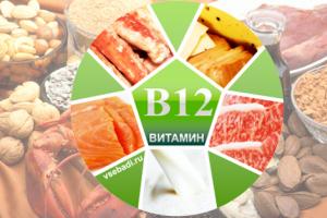 В каких витаминах содержится b12